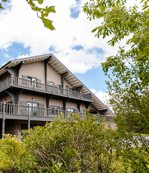 Le Bellevue 33 : Vue du chalet depuis le jardin